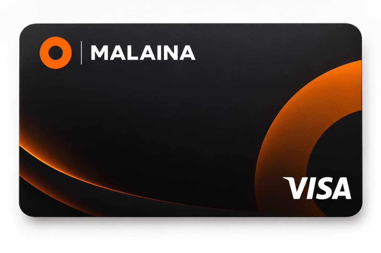 Carte Visa omalaina